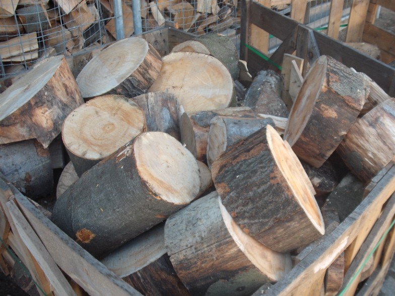 DSCF1293.jpg