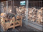 DSCF1276.jpg