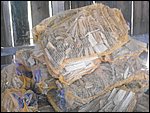 DSCF1278.jpg
