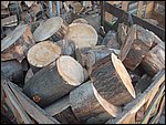 DSCF1293.jpg